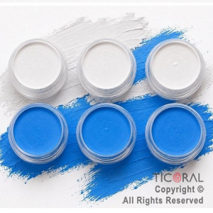 MAQUILLAJE ARTISTICO ARGENTINA CELESTE Y BLANCO (BLISTER X 6 UNIDADES - 12GR)